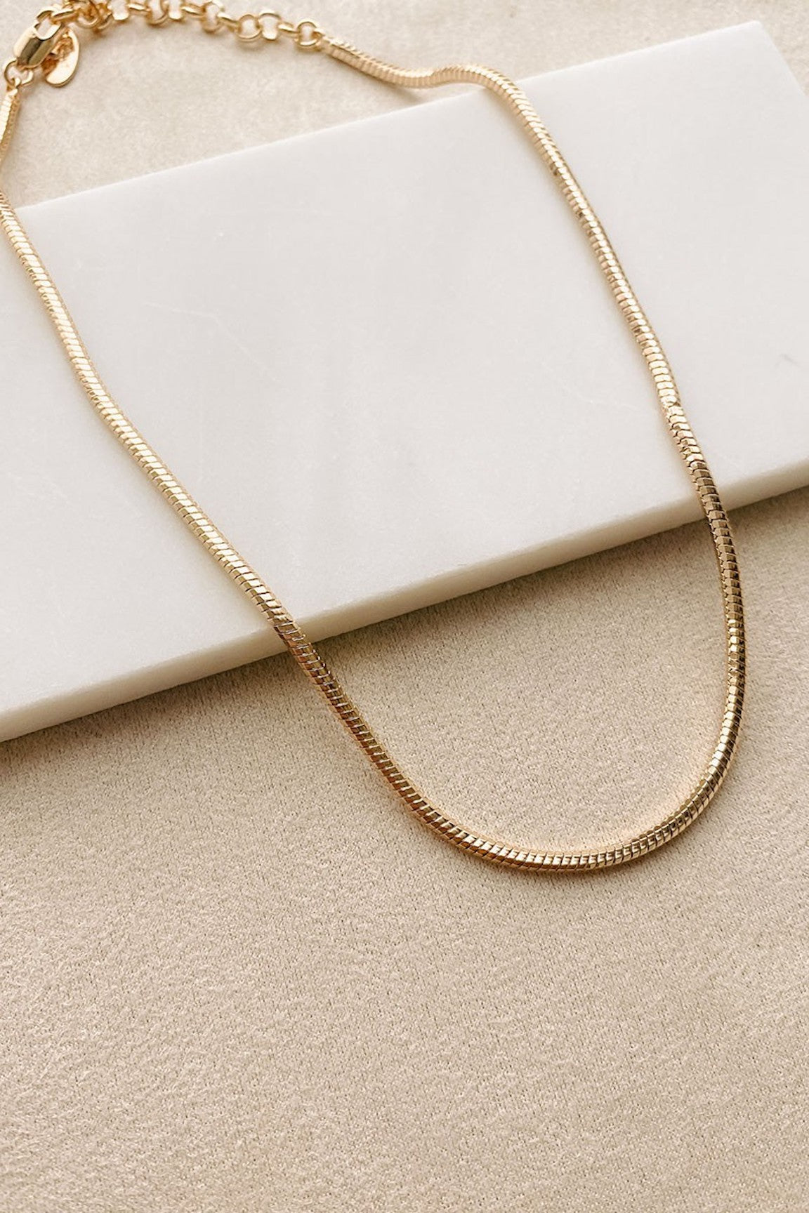 Carter Gold Snake Chain Necklace